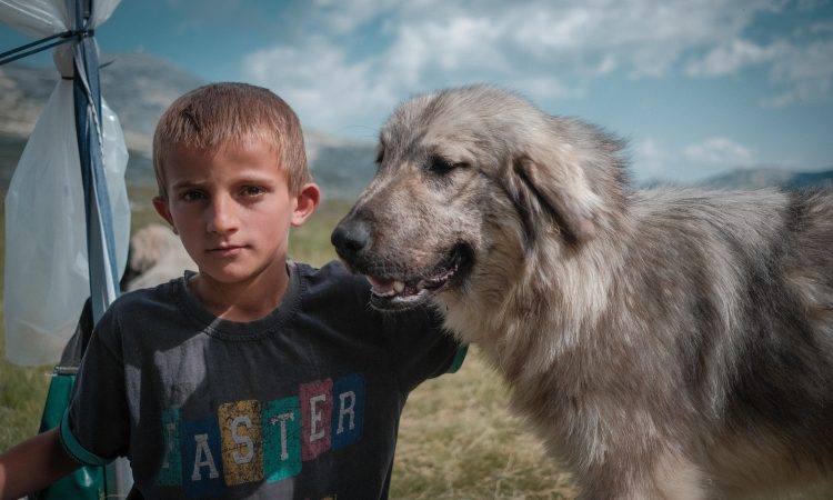Slovenski filmi na mednarodnem festivalu Fipadoc s svetovnima premierama